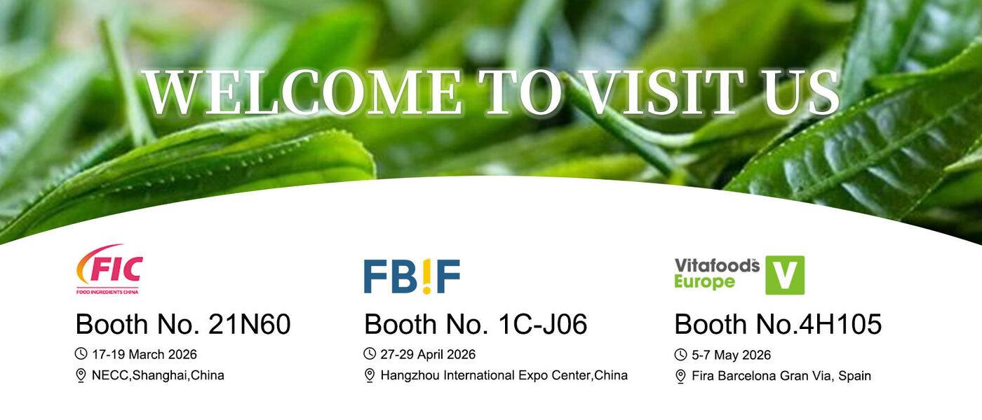 China best Probiotics Powder on sales