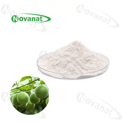 Water Soluble Monk Fruit Extract Powder 50% Mogroside V Natural Sweetener Clean Label