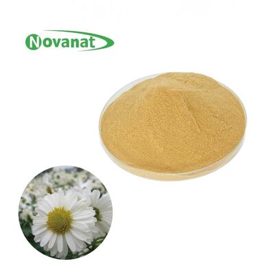 Pure Hangzhou White Chrysanthemum Extract Powder/Water Soluble/Clean Label