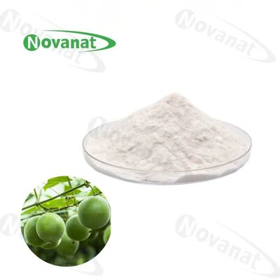 Water Soluble Monk Fruit Extract Powder 50% Mogroside V Natural Sweetener Clean Label