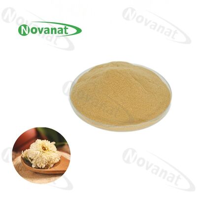 Pure Hangzhou White Chrysanthemum Extract Powder/Water Soluble/Clean Label