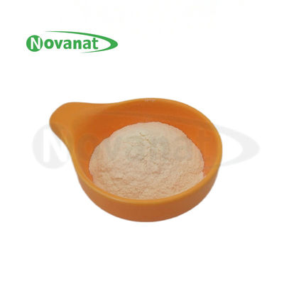 Bifidobacterium bifidum BB47 400 Billion CFU/g Vegan/Allergen Free/Gluten Free/Dairy Free