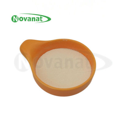 Bifidobacterium animalis subsp. lactis BI516 500 Billion CFU/g Vegan/Allergen Free/Gluten Free/Dairy Free