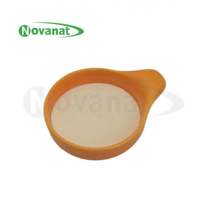 Weizmannia Coagulans BC09 200 Billion CFU/g Vegan/Allergen Free/Gluten Free/Dairy Free 