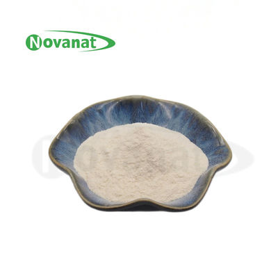 Bifidobacterium longum subsp. longum BL88-Onlly 300 Billion CFU/g Vegan/Allergen Free/Gluten Free/Dairy Free