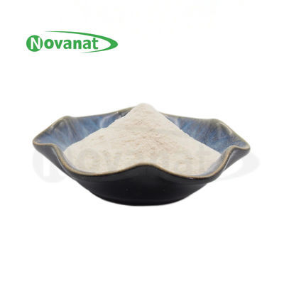 Bifidobacterium longum subsp. longum BL88-Onlly 300 Billion CFU/g Vegan/Allergen Free/Gluten Free/Dairy Free 