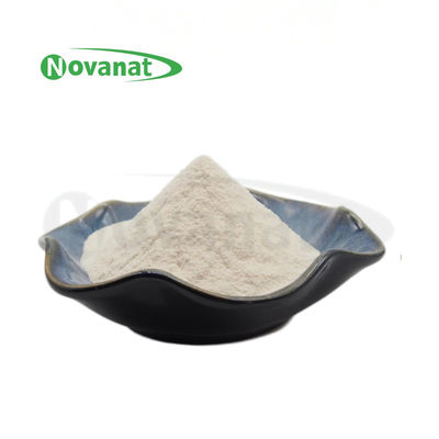 Lactobacillus amylovorus Lam600 50 Billion CFU/g Vegan/Allergen Free/Gluten Free/Dairy Free