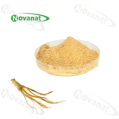 Pure Root Ginseng Extract Powder 5%-80% Ginsenosides UV / HLPC / Water Soluble / Clean Label