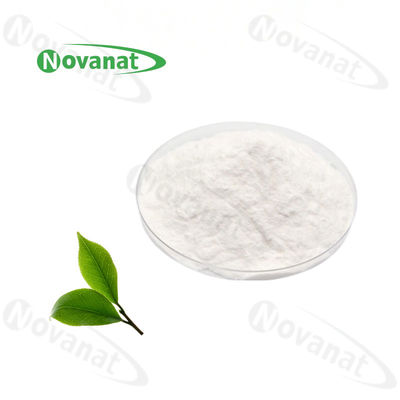 Epigallocatechin Gallate Green Tea Extract Powder EGCG 94 % / 95% / 98% / Decaffeinated