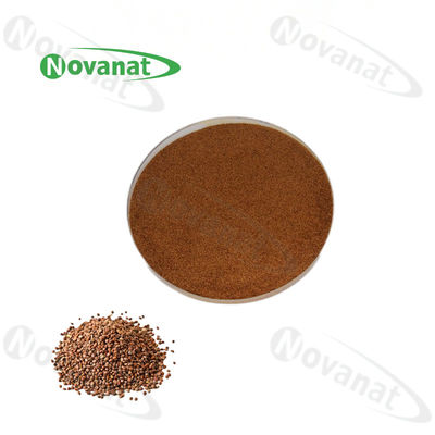 Semen Raphani Extract Herbal Extract Powder 0.8-1.2% Sinapine / USP / EP / CP