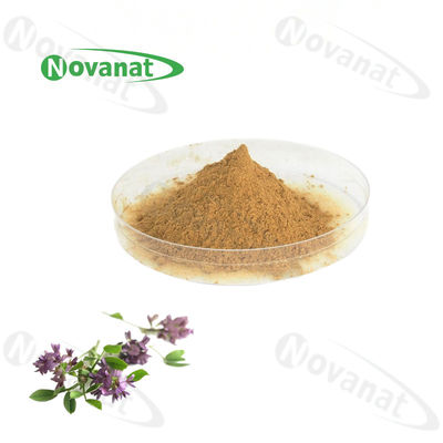 Alfalfa Extract 5% Saponins/Clean Label/Allergen Free