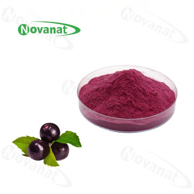 Acai Berry Extract Anthocyanidins Herbal Extract Powder Powerful Antioxidants
