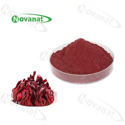 Roselle Extract Powder/Hibiscus Flower Extract Rich in vitamin C/Pure flavor/Clean Label/Allergen Free