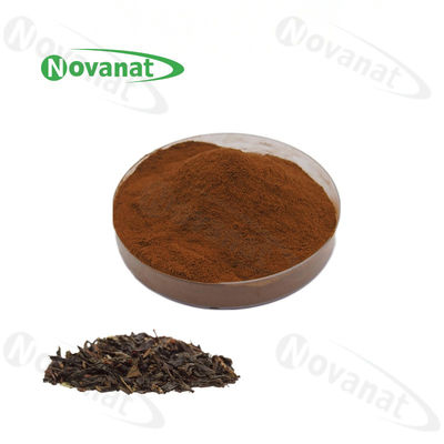 Instant Black Tea Extract Powder 15% Polyphenols/Water Soluable/Clean Label/Allergen Free