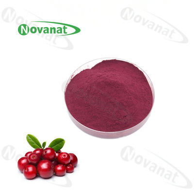 25% Anthocyanidins Bilberry Extract Powder