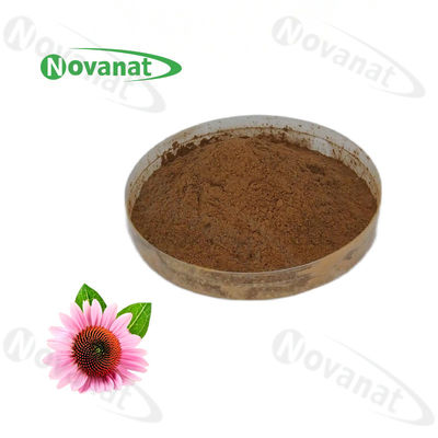 Echinacea Purpurea Extract 4% Polyphenols/Clean Label/Allergen Free