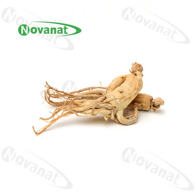 Dry Ginseng Root Dried Herbs/Clean Label/Allergen Free