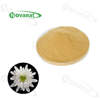 纯杭州白菊花提取物粉末水溶性