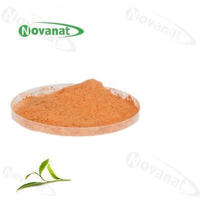 有机绿茶提取物粉末 60% 多酚 / 40% EGCG /脱咖啡因 / 清洁标签