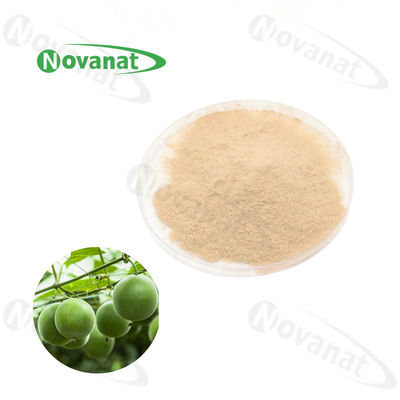 水溶性罗汉果提取物粉末 25% 罗汉果苷 V / 天然甜味剂 / 清洁标签