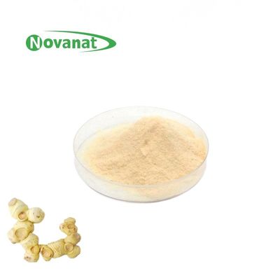 黄精提取物草本提取物粉末 15% 多糖 5% 皂苷