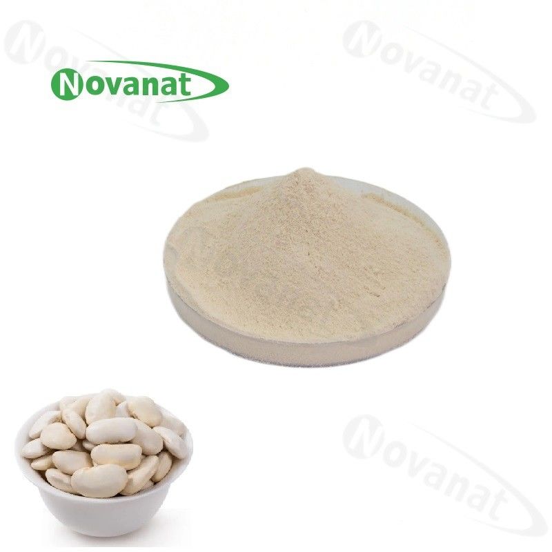 White Kidney Bean Extract Inhibitory Activity 3000 UI/G Clean Label/Allergen Free