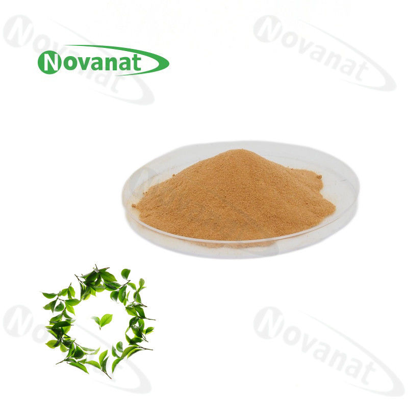 Natural Green Tea L-Theanine Powder 20% 30% 40%