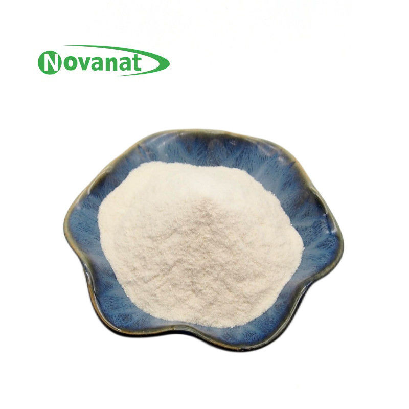 Lacticaseibacillus rhamnosus GG 300 Billion CFU/g Vegan/ Allergen Free/Gluten Free/Dairy Free