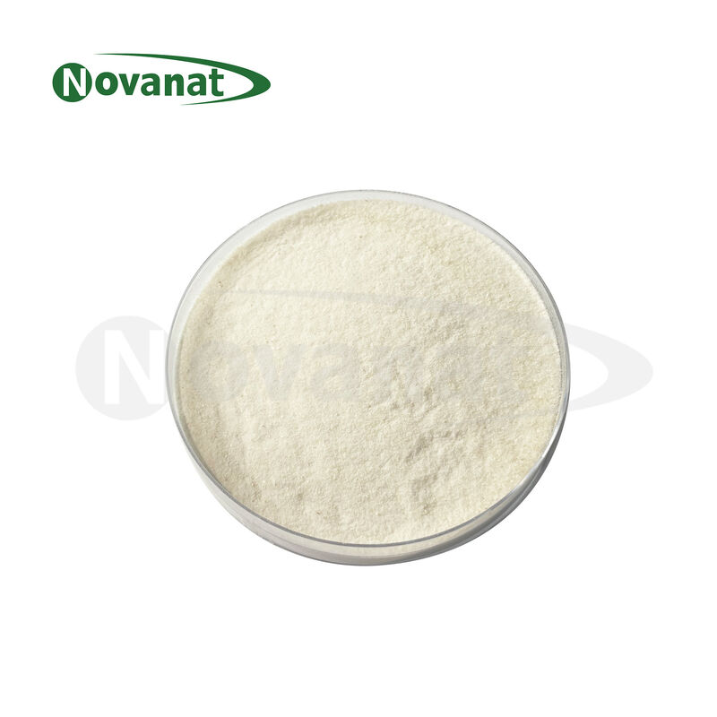 Bifidobacterium adolescentis BAS61 100 Billion CFU/g Vegan/Allergen Free/Gluten Free/Dairy Free