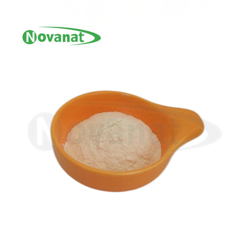 Pediococcus acidilactici PA10 500 Billion CFU/g Vegan/Allergen Free/Gluten Free/Dairy Free