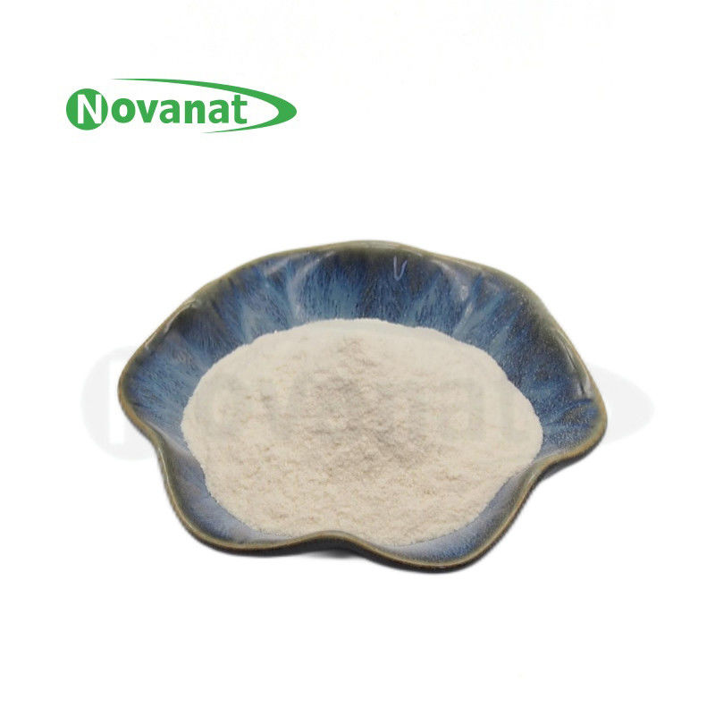Bifidobacterium longum subsp. infantis BI211 100 Billion CFU/g Vegan/Allergen Free/Gluten Free/Dairy Free