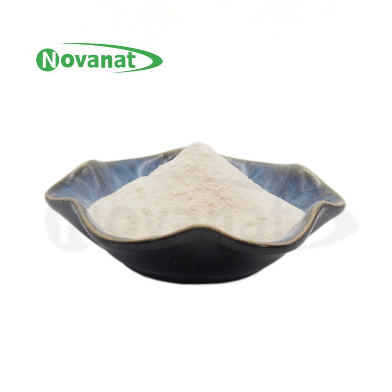 Bifidobacterium longum subsp. longum BL88-Onlly 300 Billion CFU/g Vegan/Allergen Free/Gluten Free/Dairy Free 