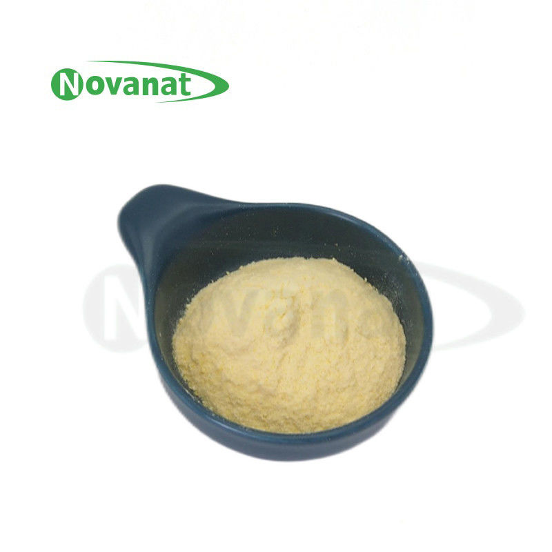 Lactiplantibacillus plantarum LP-Onlly 500 Billion CFU/g Vegan/Allergen Free/Gluten Free/Dairy Free