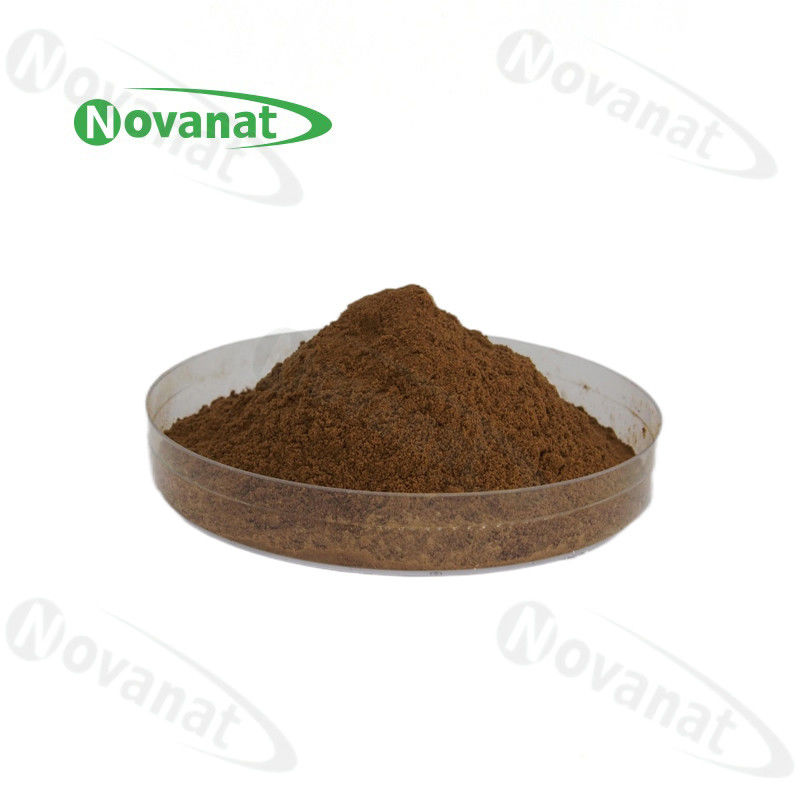 Cordyceps Extract 20%-40% Polysaccharides/Cordyceps Sinensis Extract Cs-4/Clean Label/Allergen Free
