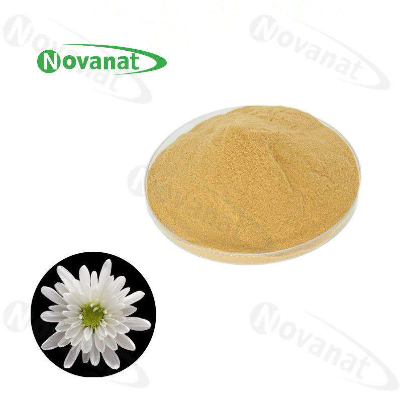 Pure Hangzhou White Chrysanthemum Extract Powder Water Soluble/Food and beverage