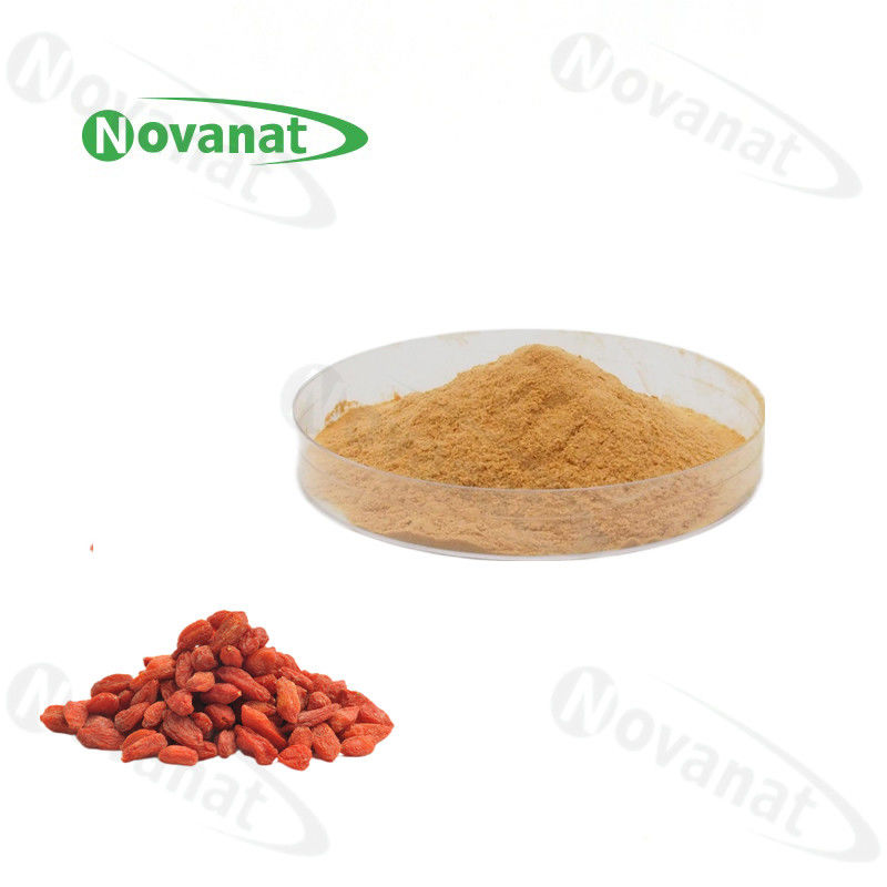 Water Soluble lycium berry Extract Powder 20% - 50% Polysaccharides / Clean Label