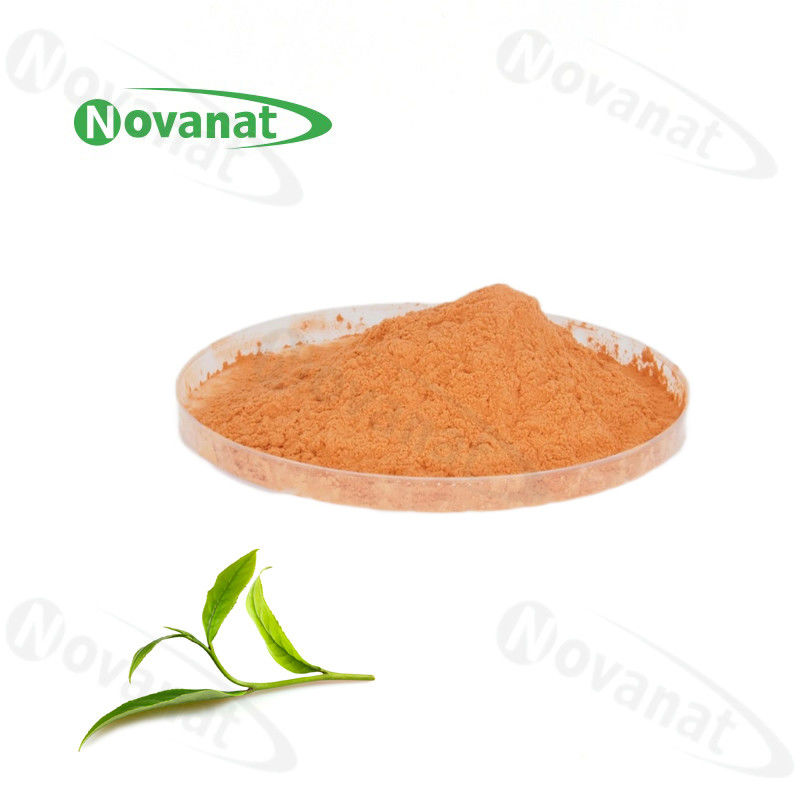 Water Extract Green Tea Extract Powder 98% Polyphenols / 80% Catechins / 50% EGCG / Decaffeinated