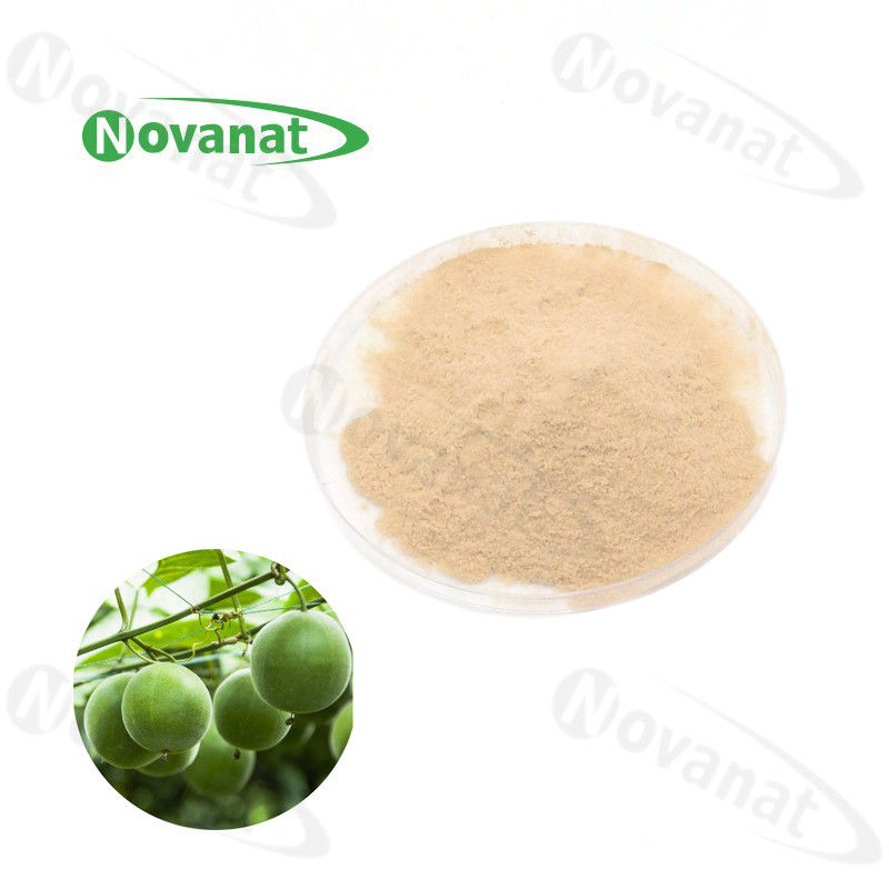 Water Soluble Monk Fruit Extract Powder 25% Mogroside V / Natural Sweetener / Clean Label
