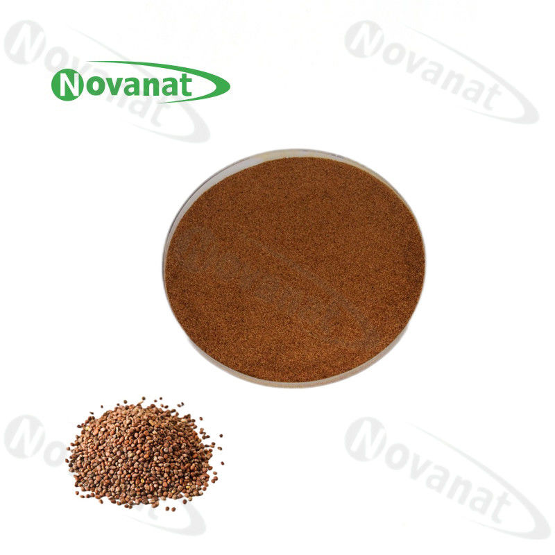 Semen Raphani Extract 0.8-1.2% Sinapine/USP/EP/CP/Clean Label/Allergen Free