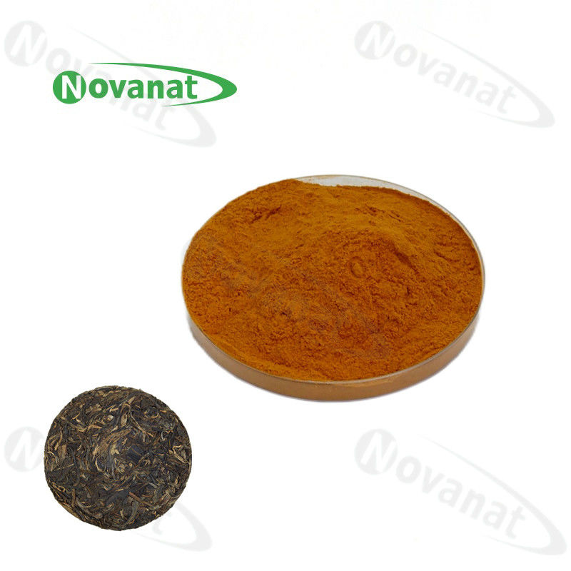 Instant Pu Er Tea Extract Powder 20% Polyphenols/Water Soluable/Clean Label/Allergen Free
