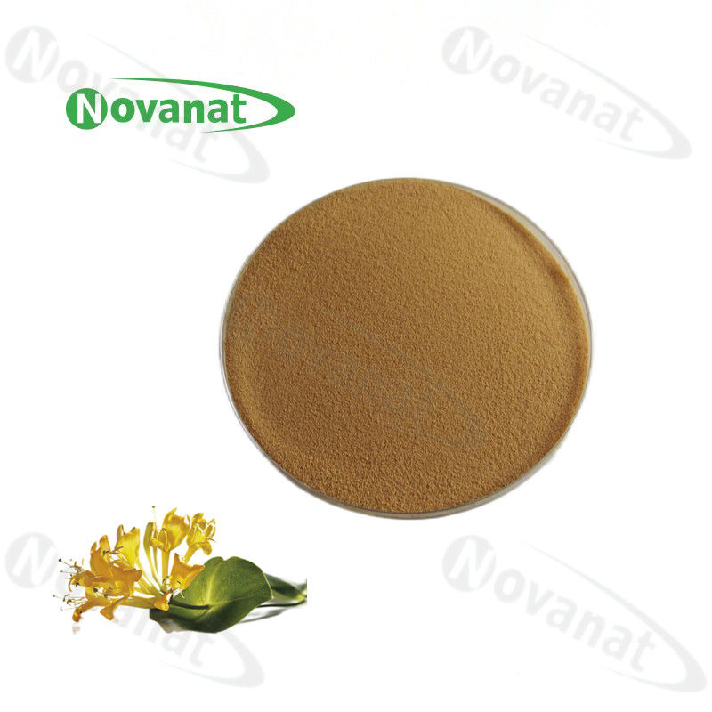 Honey Suckle Flower Extract Chlorogenic Acid/Lonicera Japonica Thunb Extract/Clean Label/Allergen Free