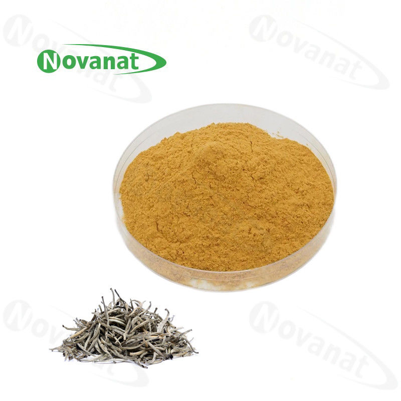 Instant White Tea Extract Powder 40% Polyphenols/Water Soluable/Clean Label/Allergen Free