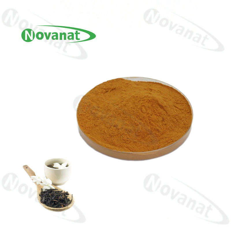 Instant Jasmine Green Tea Powder 30% Polyphenols/Water Soluable/Clean Label/Allergen Free