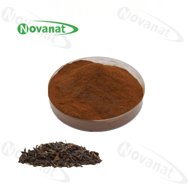 Instant Black Tea Extract Powder 15% Polyphenols/Water Soluable/Clean Label/Allergen Free