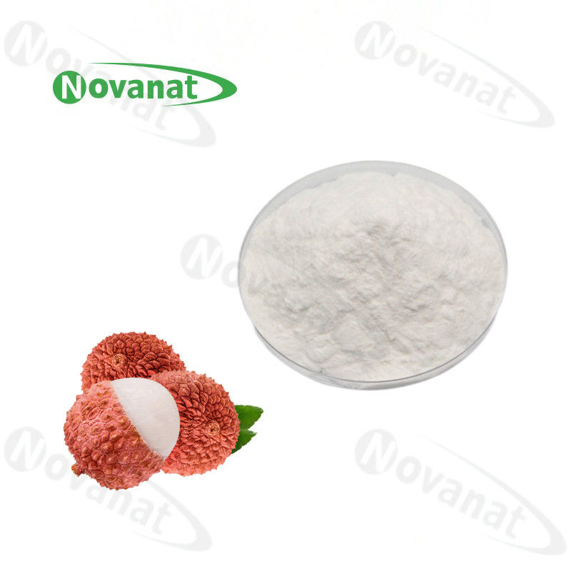Lychee Powder/Lychee Concentrated Powder Extract/Pure flavor/Water Soluble/Clean Label/Allergen Free