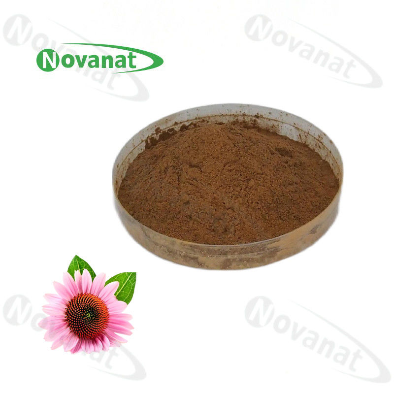 Echinacea Purpurea Extract 4% Polyphenols/Clean Label/Allergen Free