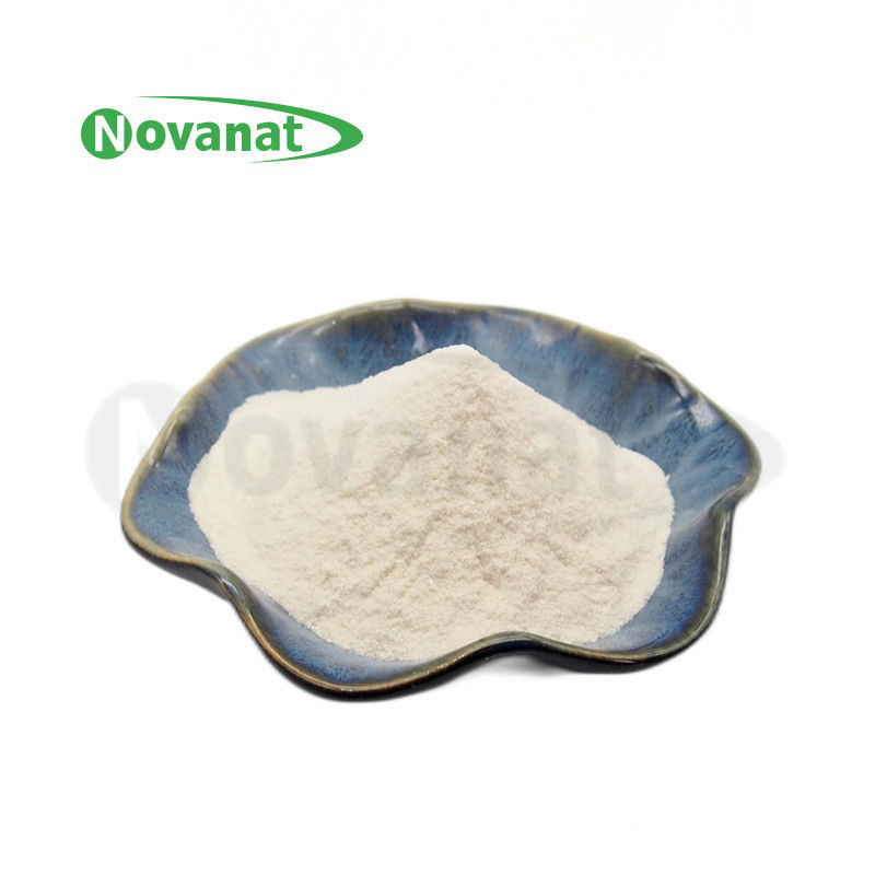 Bifidobacterium animalis subsp.animalis BA77 200 Billion CFU/g Vegan/Allergen Free/Gluten Free/Dairy Free