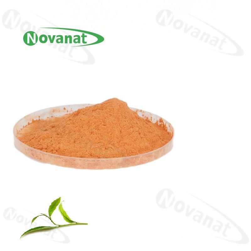 有机绿茶提取物粉末 60% 多酚 / 40% EGCG /脱咖啡因 / 清洁标签