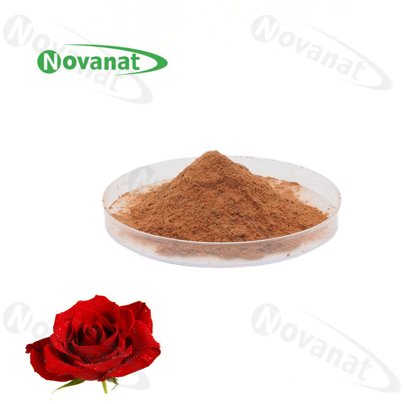 抗疲劳玫瑰提取物粉末 4/1 20% 和 25% 多酚/水溶性/食品饮料 产品详情：