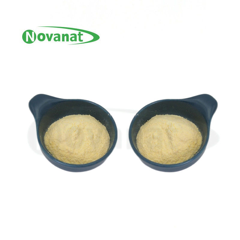 Lactobacillus Plantarum LP-Onlly Postbiotics Powder Tyndallized / 素食/免费（过敏原/麸质/乳制品）